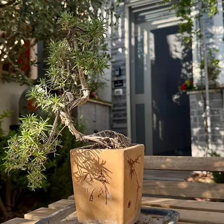 Urban & B Bed and breakfast