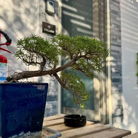 Bed and breakfast Urban & B 3*