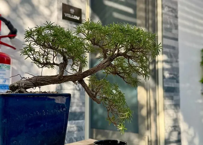 Bed & Breakfast Urban & B 3*